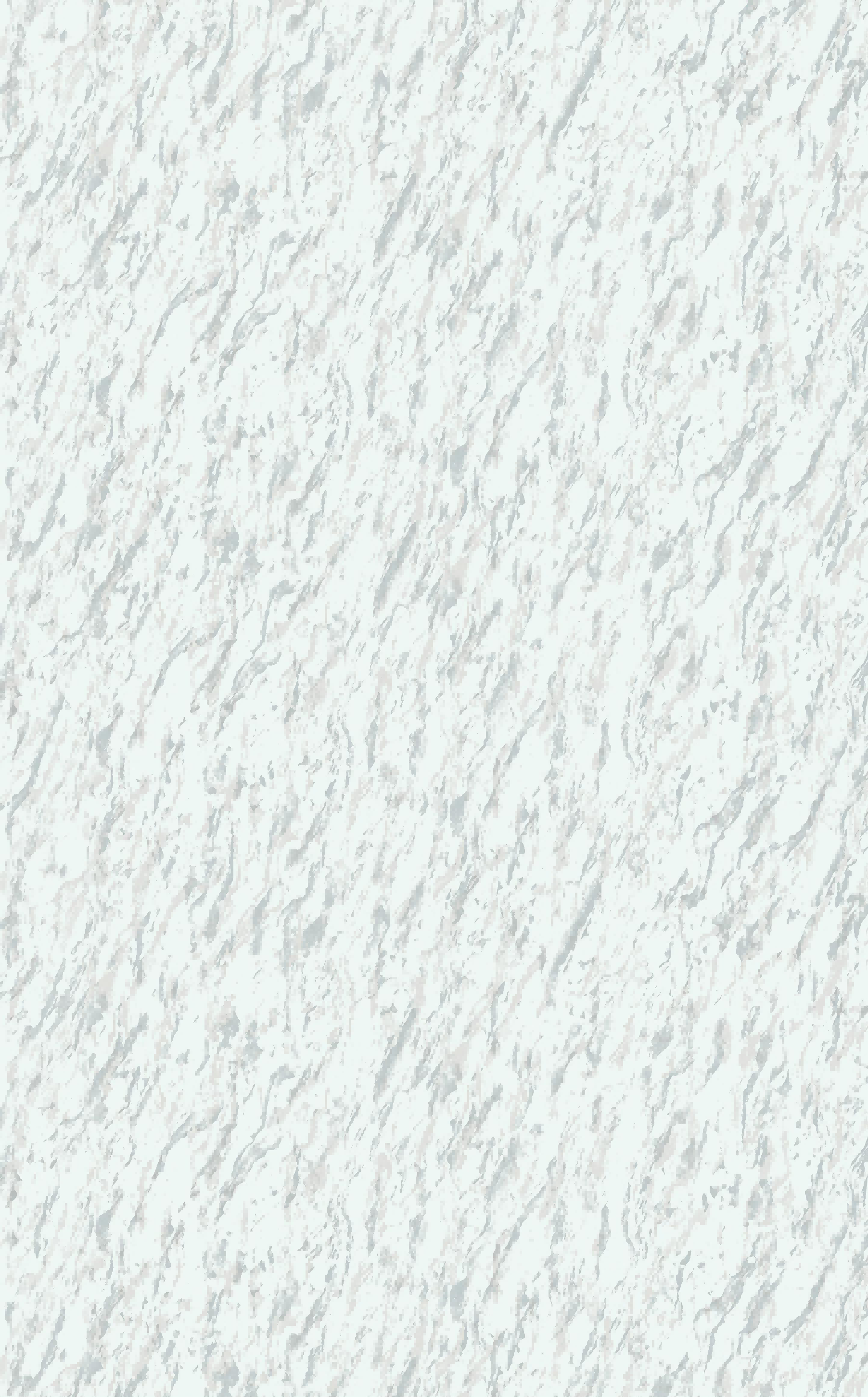 YS 2606